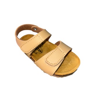 PLAKTON 855459 BIOCHAMPION TAUPE